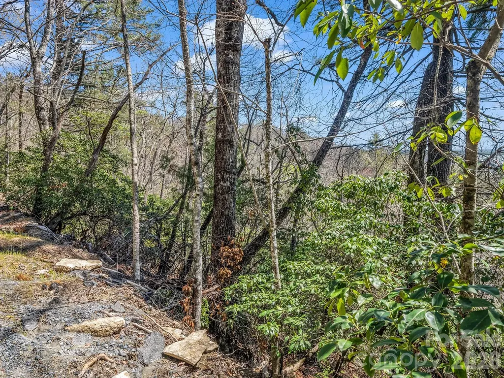 999 Bulling Creek Drive Hendersonville NC 28739