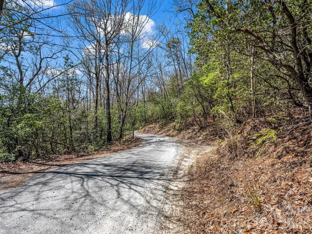 999 Bulling Creek Drive Hendersonville NC 28739