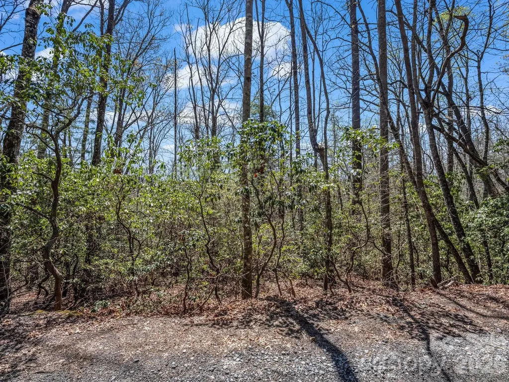 999 Bulling Creek Drive Hendersonville NC 28739