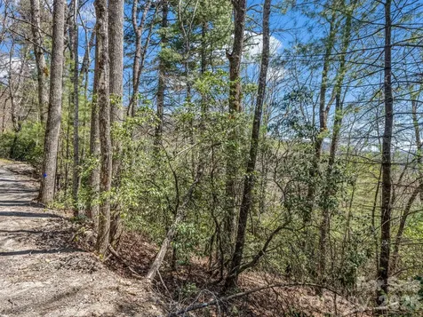 999 Bulling Creek Drive Hendersonville NC 28739
