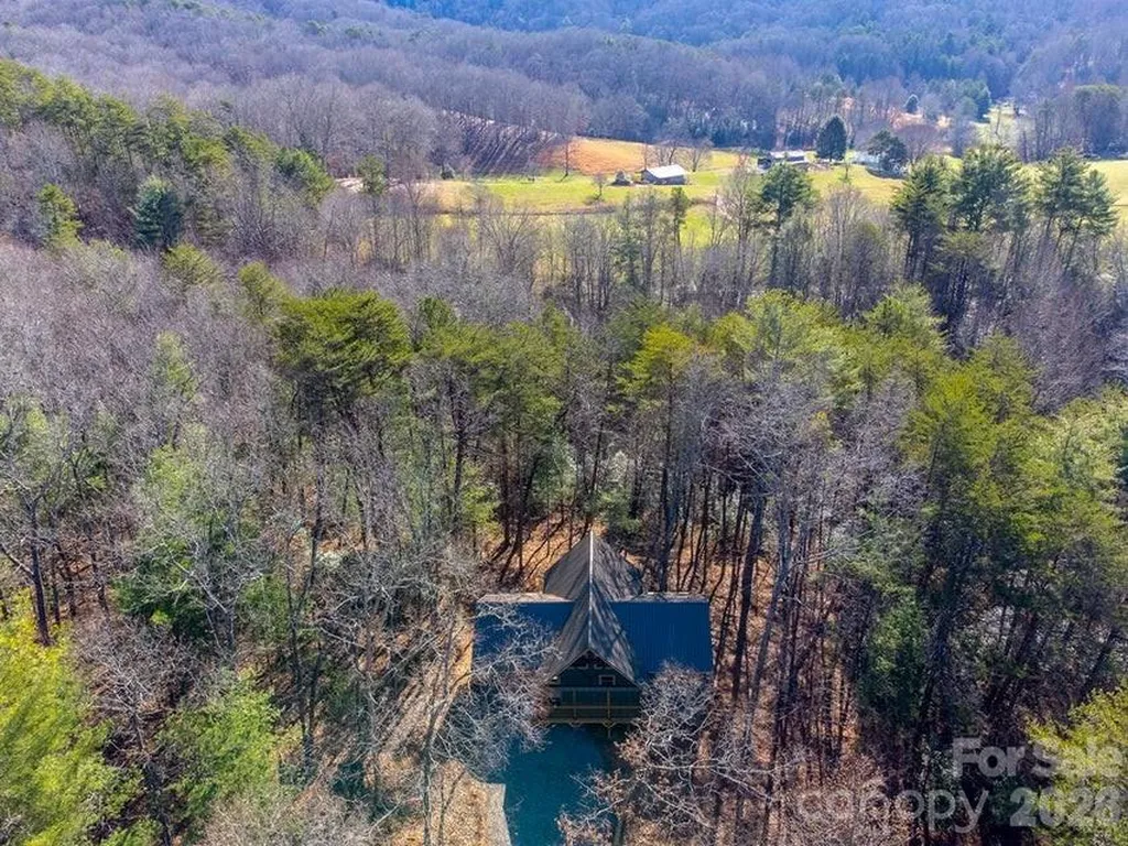 397 Kennelly Loop Murphy NC 28906