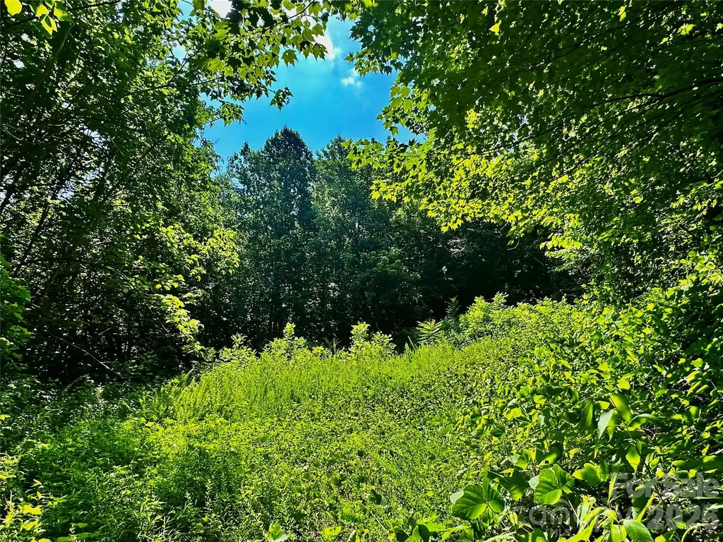75 Fork Creek Road Saluda NC 28773