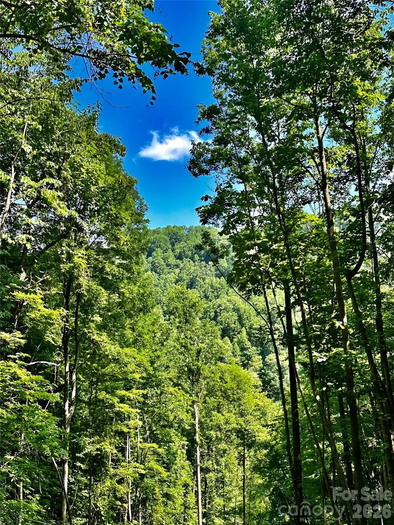 75 Fork Creek Road Saluda NC 28773