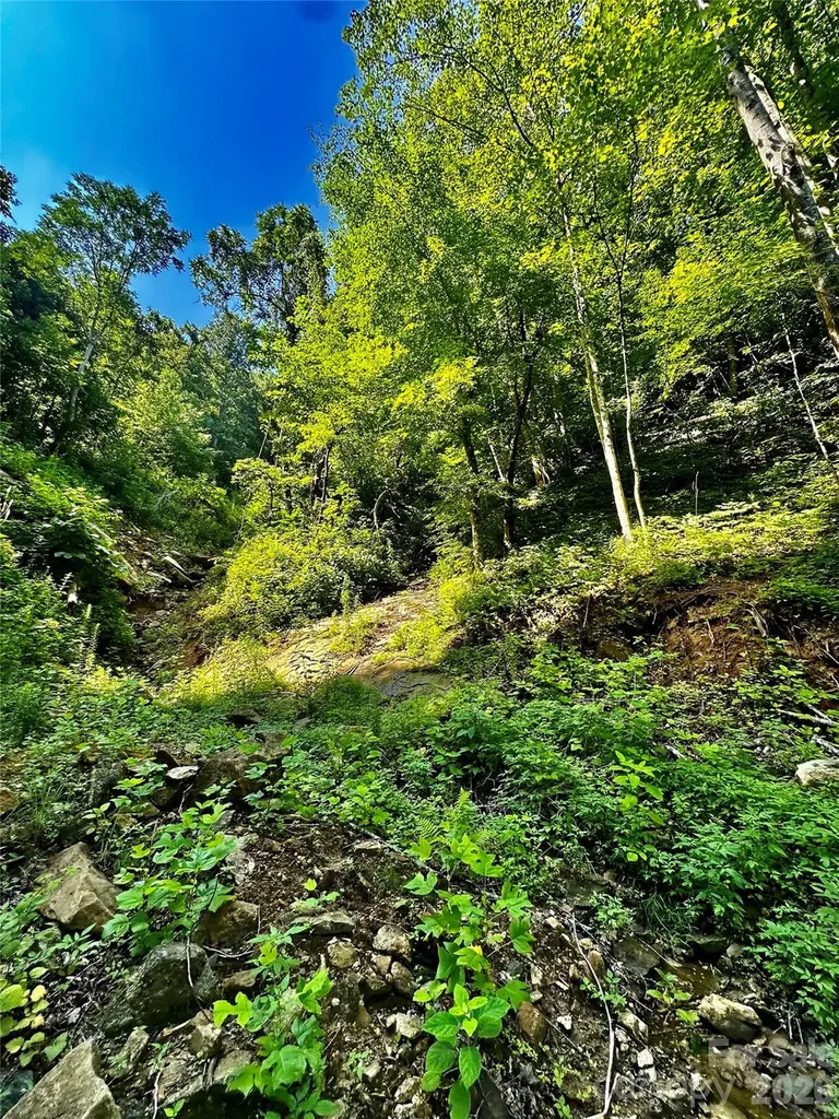 75 Fork Creek Road Saluda NC 28773
