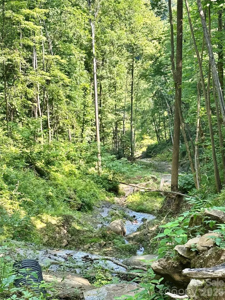 75 Fork Creek Road Saluda NC 28773