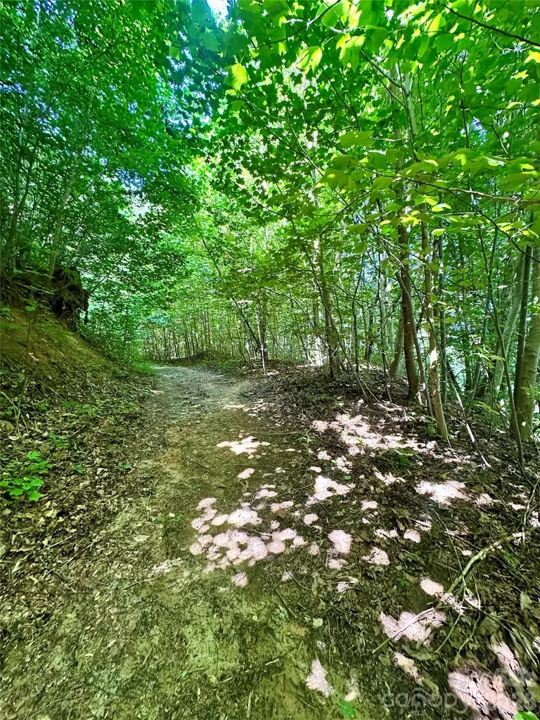 75 Fork Creek Road Saluda NC 28773
