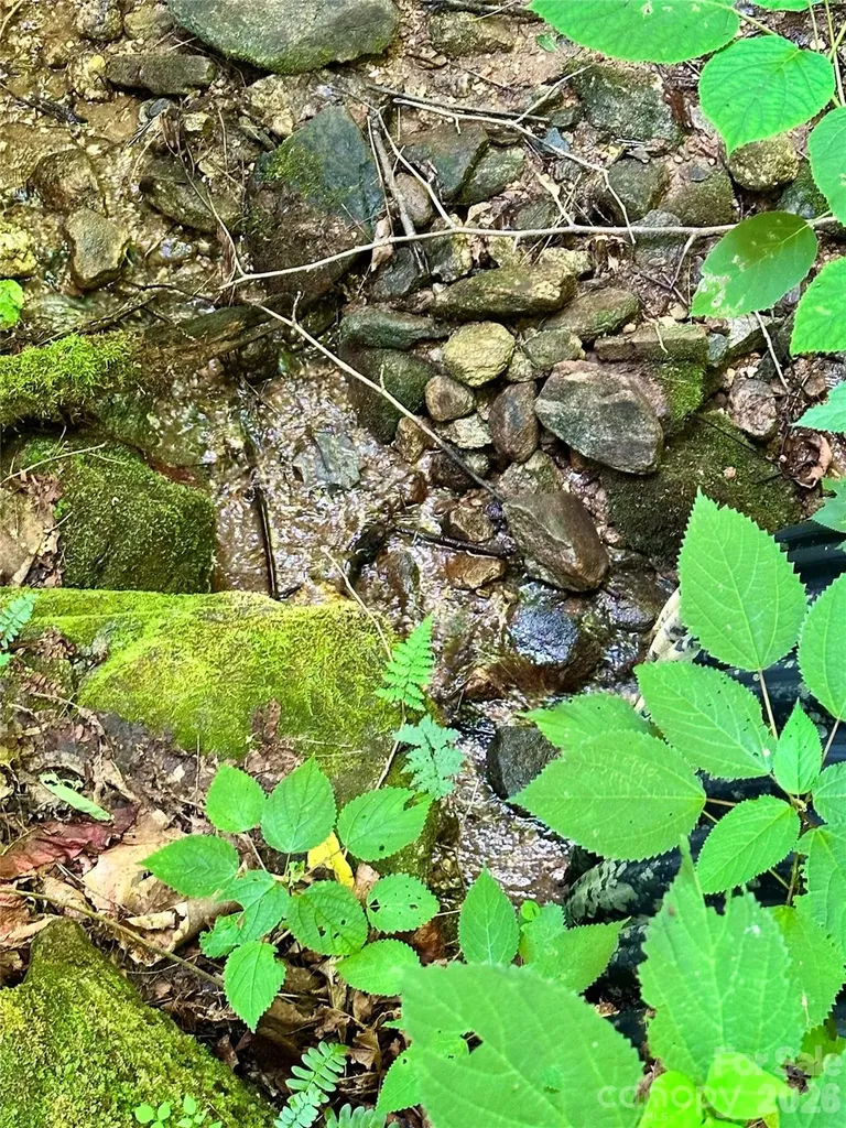 75 Fork Creek Road Saluda NC 28773
