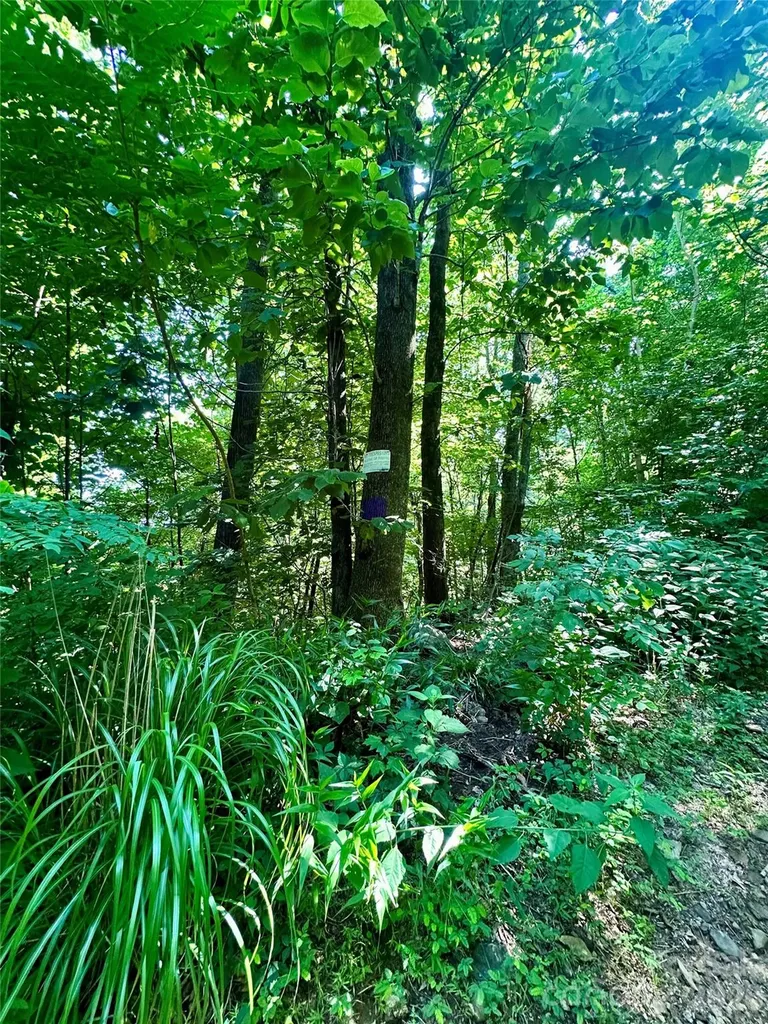 75 Fork Creek Road Saluda NC 28773