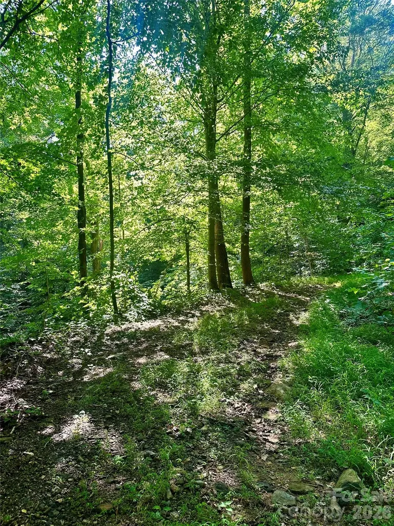 75 Fork Creek Road Saluda NC 28773