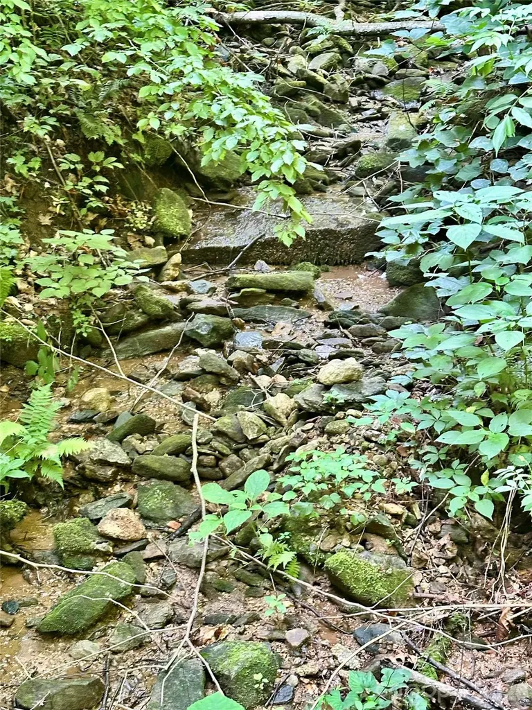 75 Fork Creek Road Saluda NC 28773