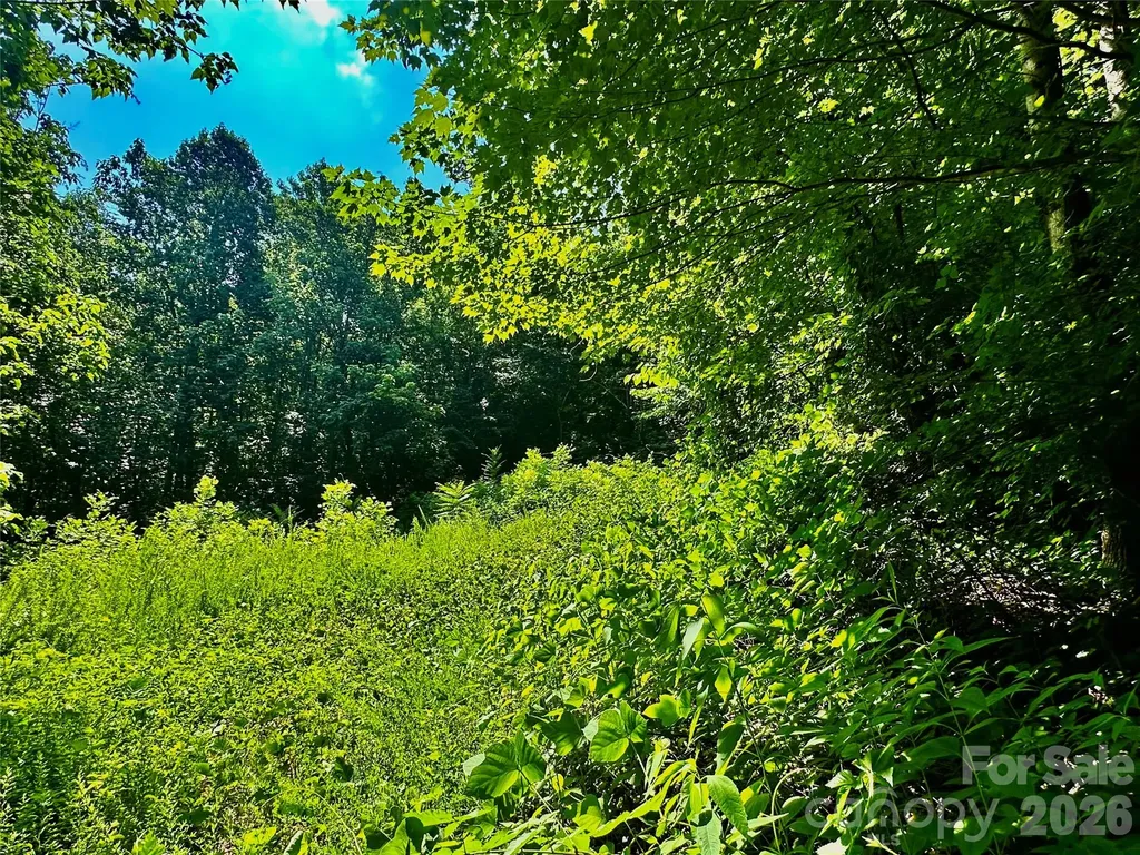 75 Fork Creek Road Saluda NC 28773