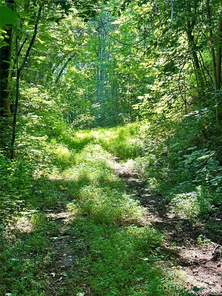 75 Fork Creek Road Saluda NC 28773