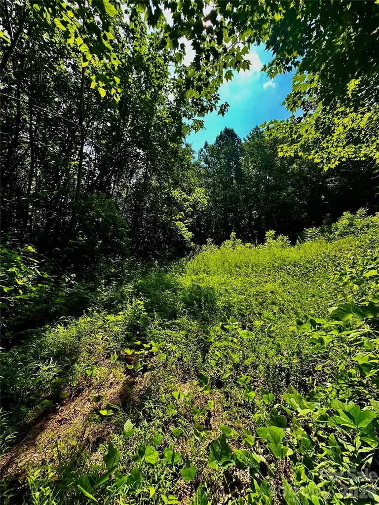 75 Fork Creek Road Saluda NC 28773