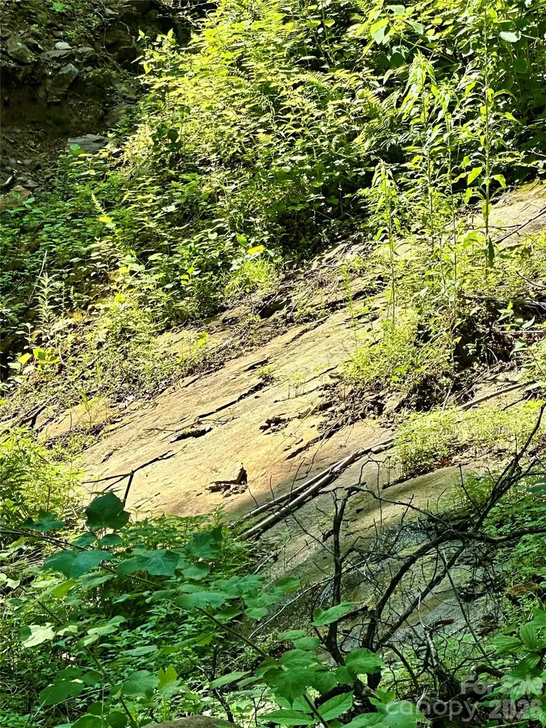 75 Fork Creek Road Saluda NC 28773