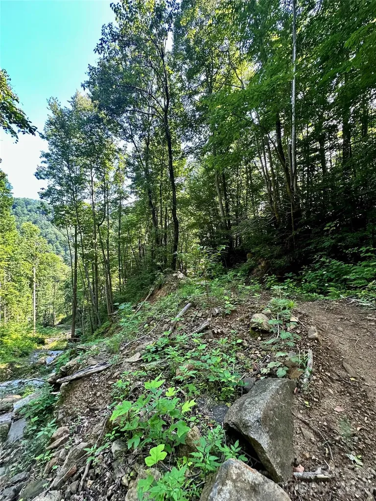 75 Fork Creek Road Saluda NC 28773