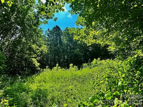 75 Fork Creek Road Saluda NC 28773