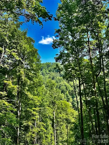 75 Fork Creek Road Saluda NC 28773