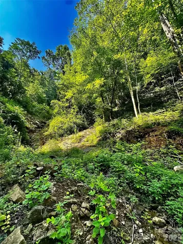 75 Fork Creek Road Saluda NC 28773