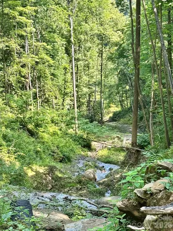 75 Fork Creek Road Saluda NC 28773