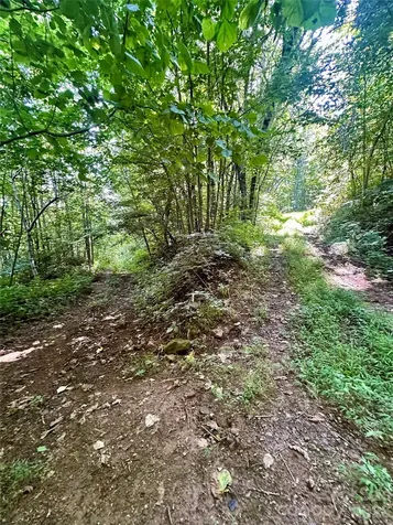 75 Fork Creek Road Saluda NC 28773