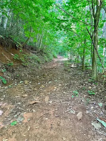 75 Fork Creek Road Saluda NC 28773