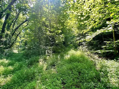 75 Fork Creek Road Saluda NC 28773