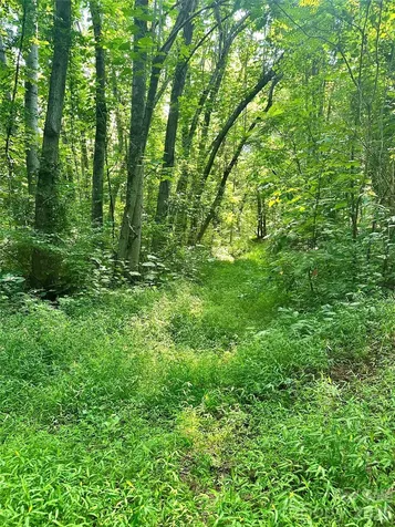 75 Fork Creek Road Saluda NC 28773