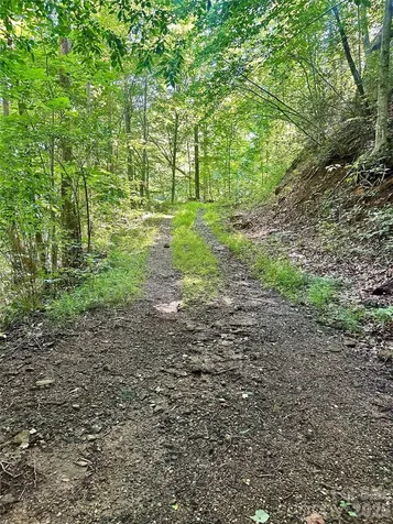 75 Fork Creek Road Saluda NC 28773