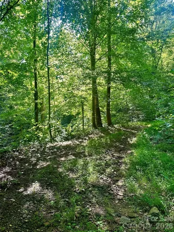 75 Fork Creek Road Saluda NC 28773