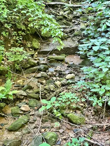 75 Fork Creek Road Saluda NC 28773