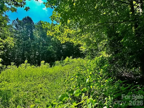 75 Fork Creek Road Saluda NC 28773