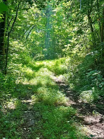 75 Fork Creek Road Saluda NC 28773