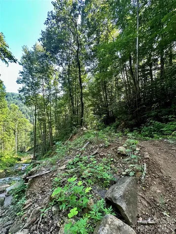 75 Fork Creek Road Saluda NC 28773