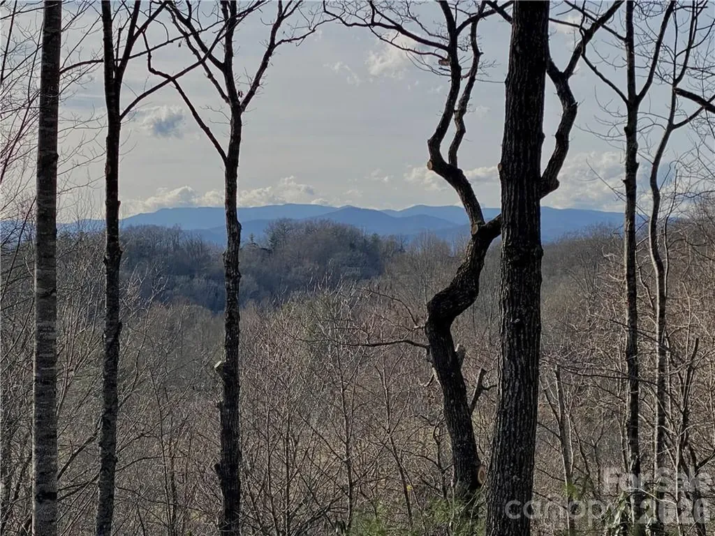 Lot #12 Cummings Cove Parkway Hendersonville NC 28739