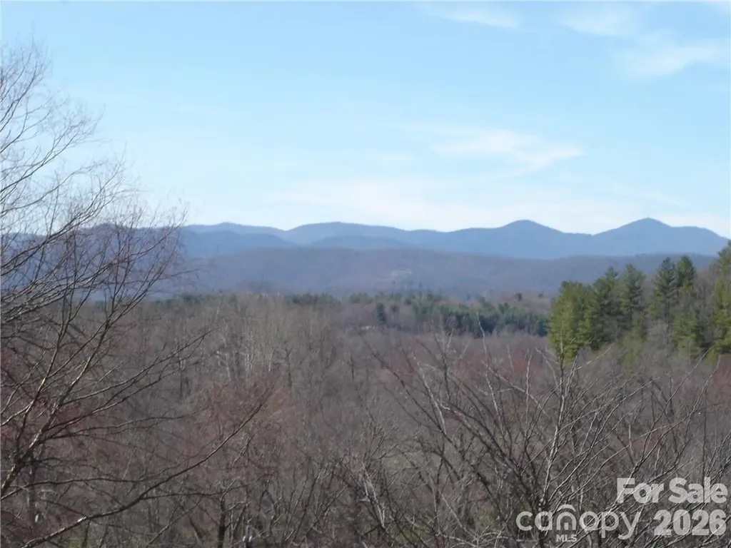 Lot #12 Cummings Cove Parkway Hendersonville NC 28739