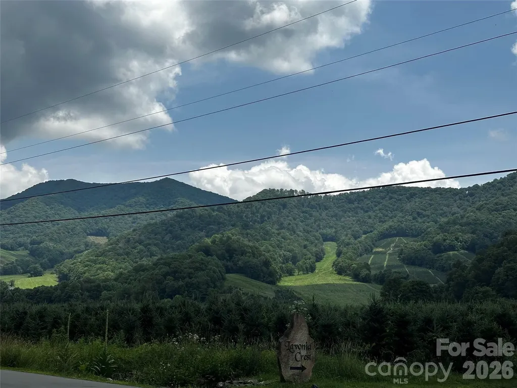 0 Green Creek Road Bakersville NC 28705