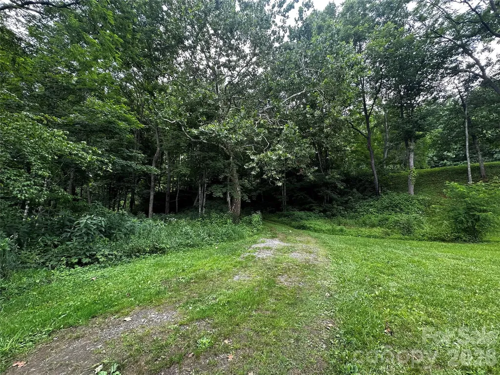 0 Green Creek Road Bakersville NC 28705