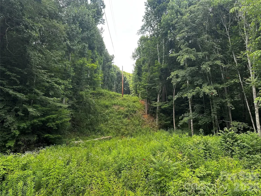 0 Green Creek Road Bakersville NC 28705