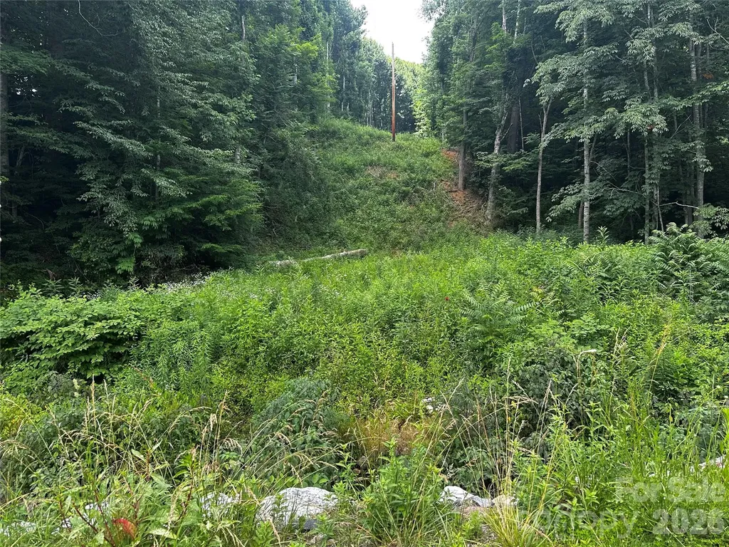 0 Green Creek Road Bakersville NC 28705