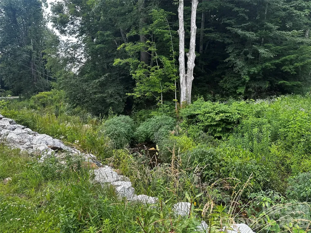 0 Green Creek Road Bakersville NC 28705