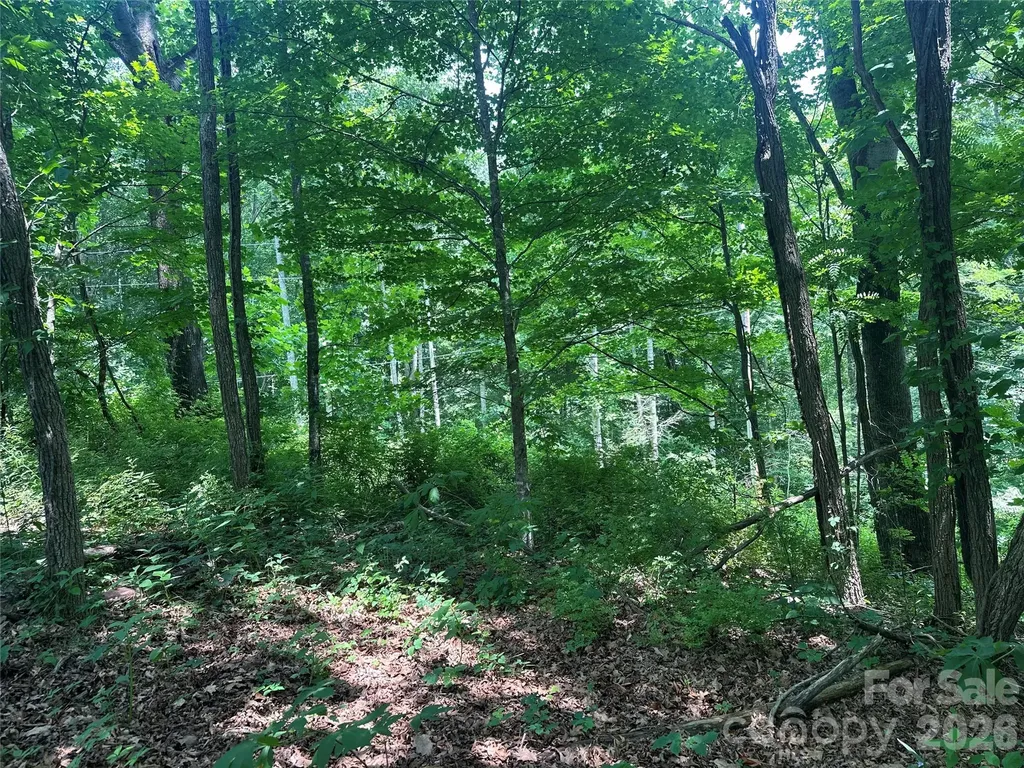 0 Green Creek Road Bakersville NC 28705