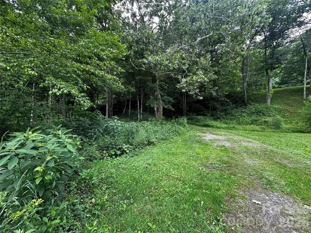 0 Green Creek Road Bakersville NC 28705
