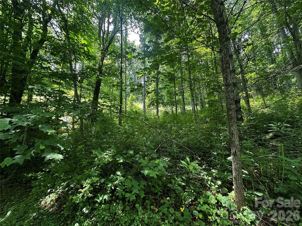 0 Green Creek Road Bakersville NC 28705