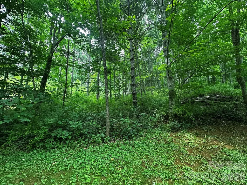 0 Green Creek Road Bakersville NC 28705