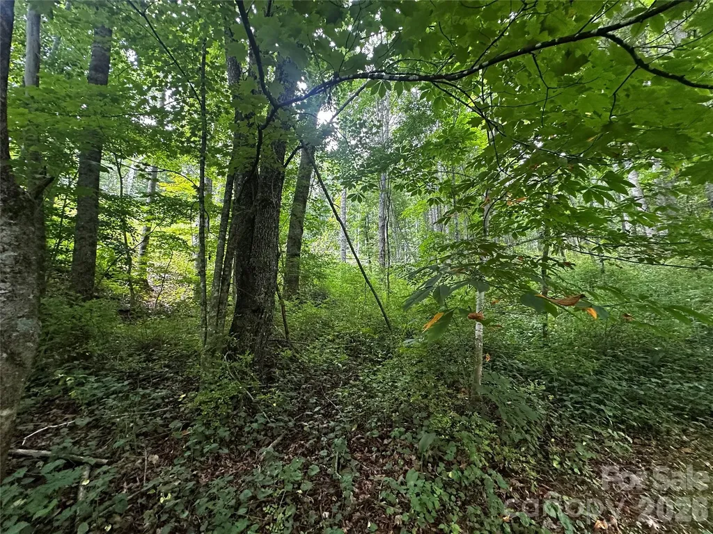 0 Green Creek Road Bakersville NC 28705