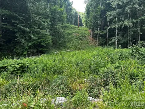 0 Green Creek Road Bakersville NC 28705