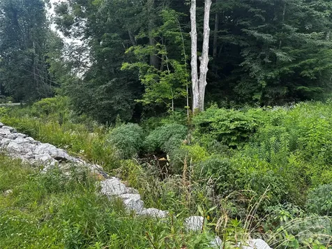 0 Green Creek Road Bakersville NC 28705