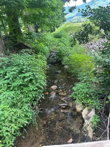 0 Green Creek Road Bakersville NC 28705