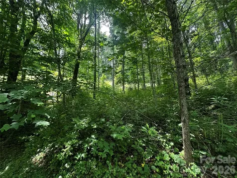 0 Green Creek Road Bakersville NC 28705