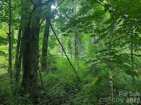 0 Green Creek Road Bakersville NC 28705
